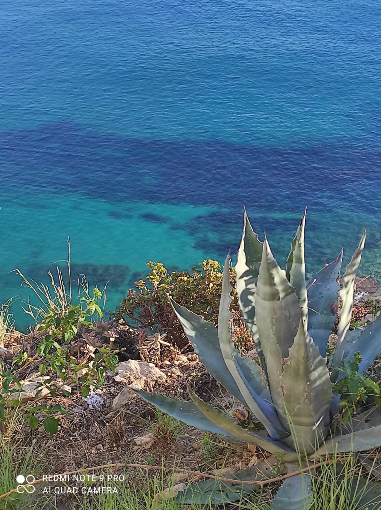 L'Aunisa Villa El Campello Buitenkant foto